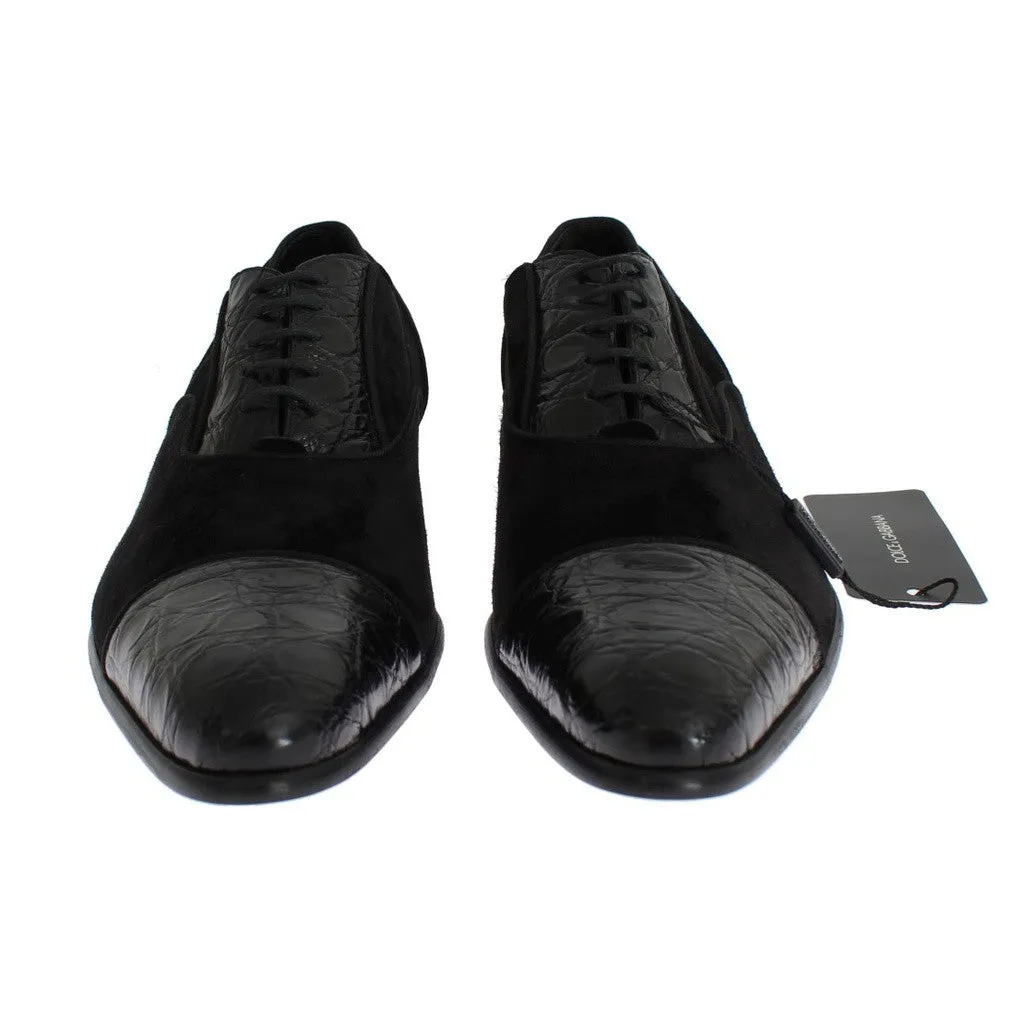 Dolce & Gabbana Black Caiman Crocodile Velvet Dress Shoes